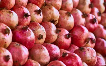Pomegranate & Mango