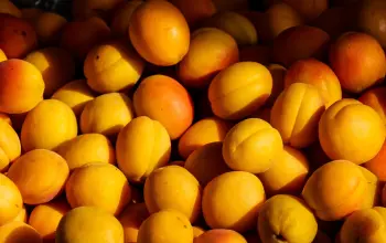 Cherries, Peaches, Apricots, Plums